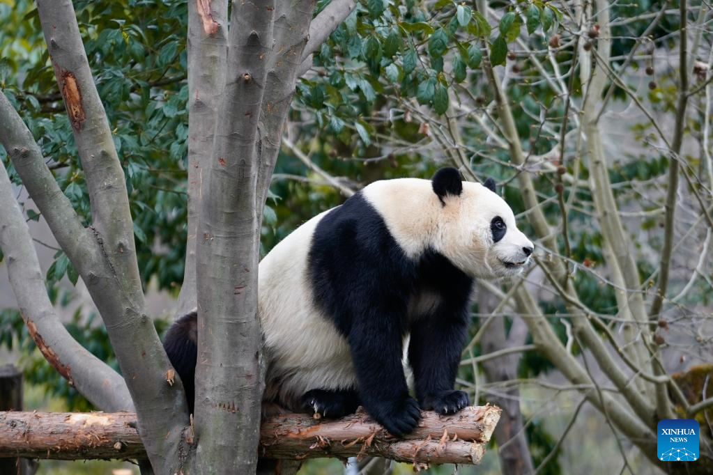 078fa10b95519cf29ff88db51a01b150 078fa10b95519cf29ff88db51a01b150