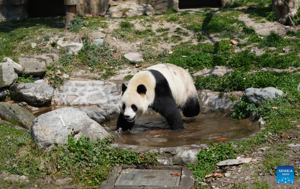 2c39eb19ee367092c2053c68478cc7fa 2c39eb19ee367092c2053c68478cc7fa