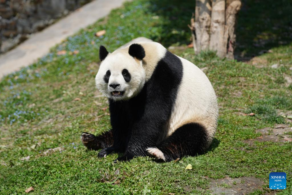 30336a9bcc9a7f67feec6e11110e373c 30336a9bcc9a7f67feec6e11110e373c