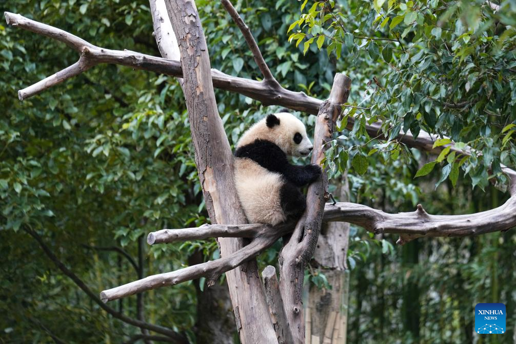 310e20046a6fe5d208fc23cd34efaf72 310e20046a6fe5d208fc23cd34efaf72