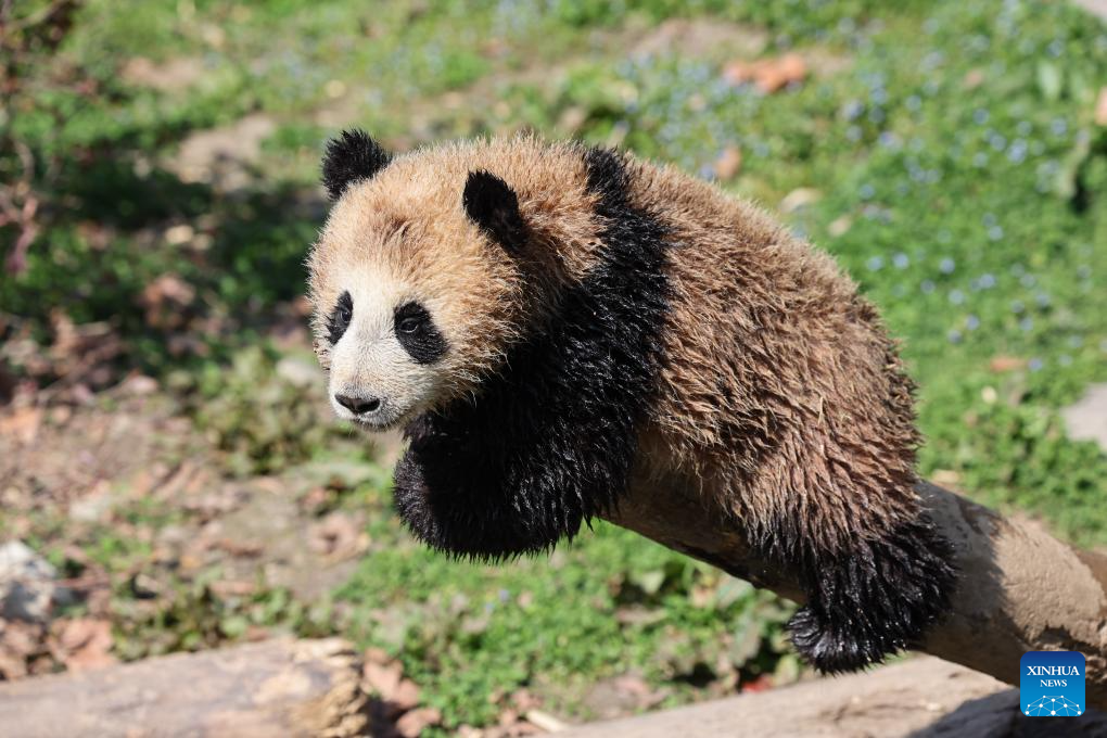 3cc349c61bf11530c1433da3e46ca1ee 3cc349c61bf11530c1433da3e46ca1ee