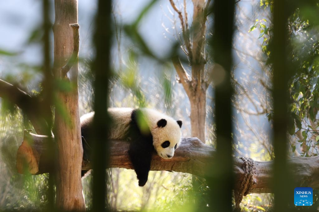 4b14e5aba49073982ede05fd9da1cec4 4b14e5aba49073982ede05fd9da1cec4