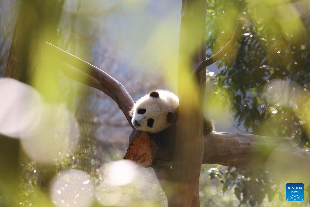 64a7e48f141ef74e1a9cf72e8a31c3ce 64a7e48f141ef74e1a9cf72e8a31c3ce