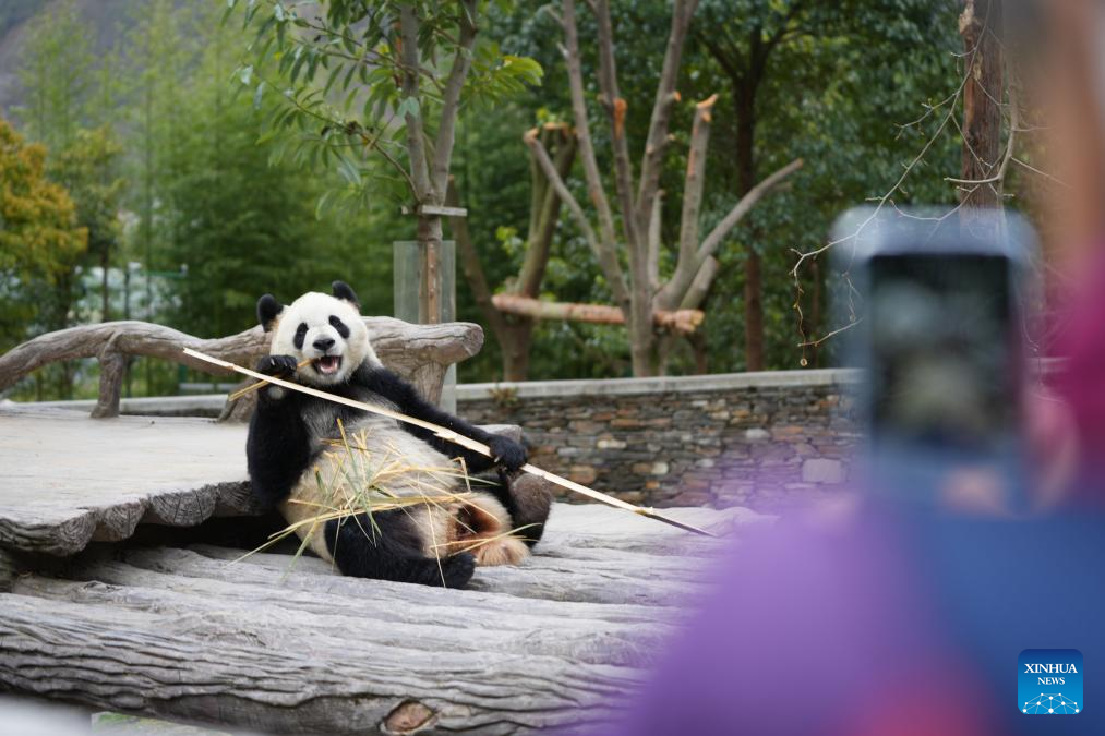 6dc84789adce1bc3f6d218165f66012c 6dc84789adce1bc3f6d218165f66012c