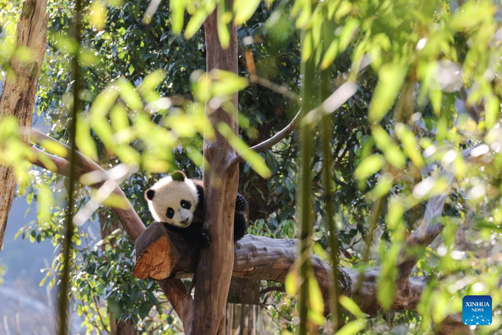 9376f8edc7cac2c1b76b292200851acd 9376f8edc7cac2c1b76b292200851acd