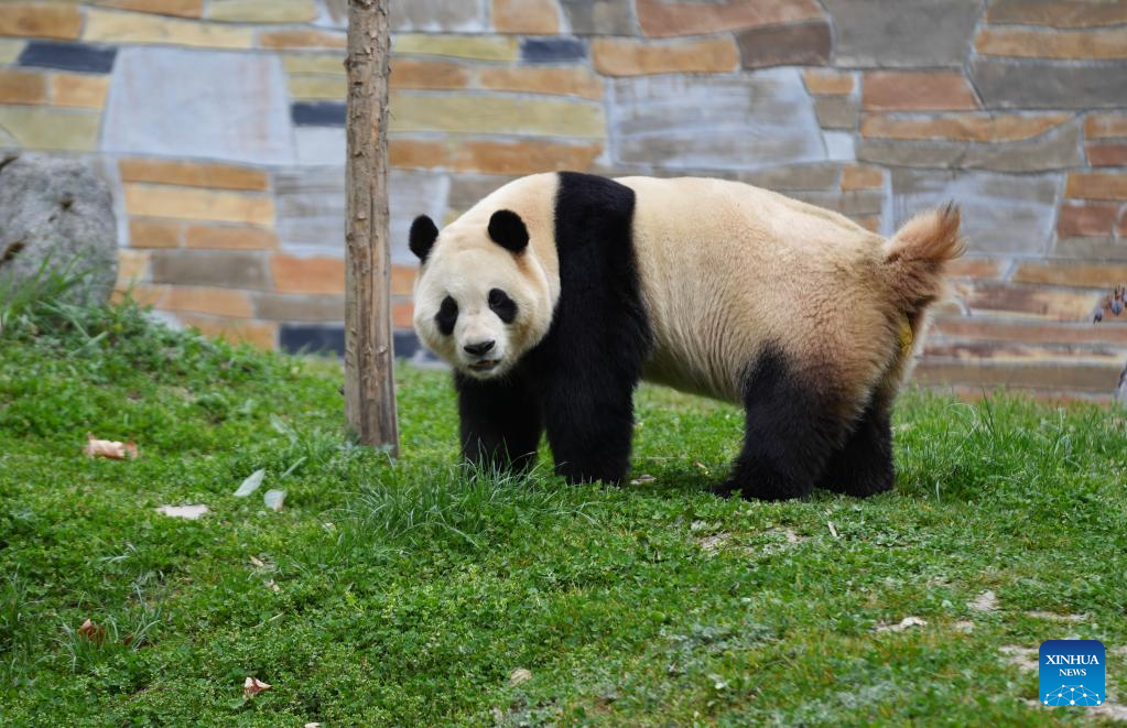 988cc4fbdf7a74c514c2a138b886966c 988cc4fbdf7a74c514c2a138b886966c