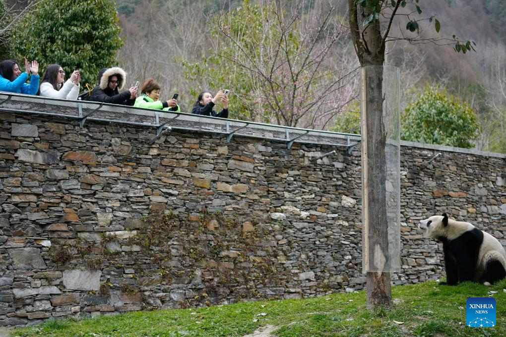 a29aa769ab59052ecbbac32af9d02cee a29aa769ab59052ecbbac32af9d02cee