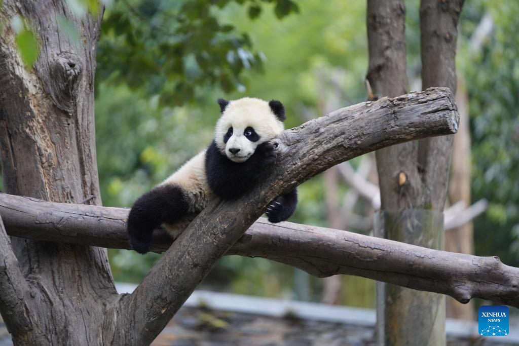 e417d68cc6d38d646ae545c05bce8c5d e417d68cc6d38d646ae545c05bce8c5d